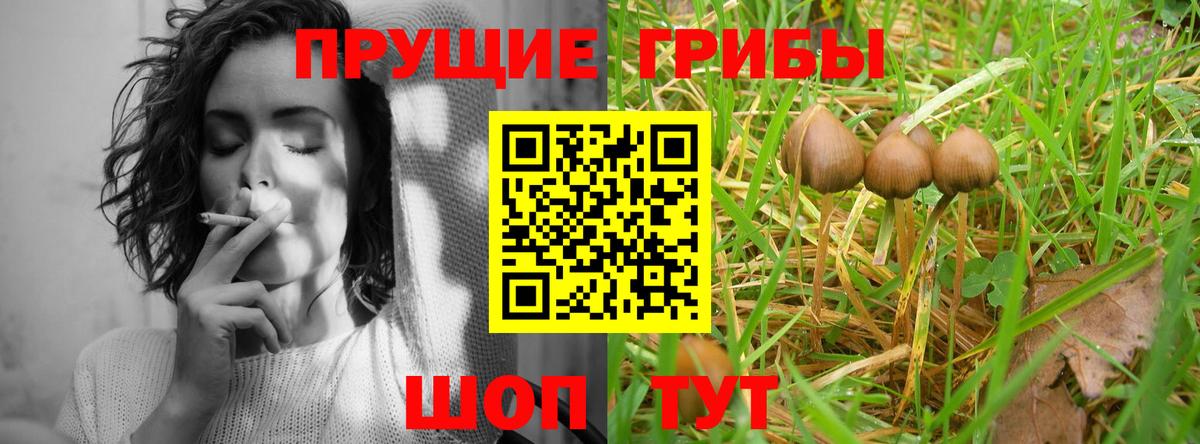 Галлюциногенные грибы Magic Shrooms  Вход с VPN  Первоуральск 